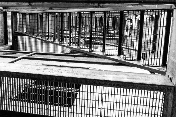 Fire exit metal grill staircase black and white picture from underneath
