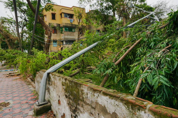 istock Super cyclone Amphan caused devastation, West Bengal, India 1337542046