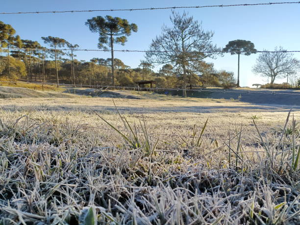 istock winter and frost 1337544042