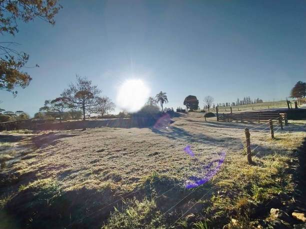 istock winter and frost 1337544047
