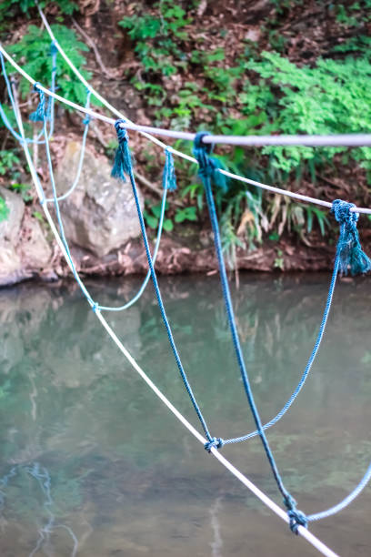 istock Close up hanging string walkway across water in forest 1337547019