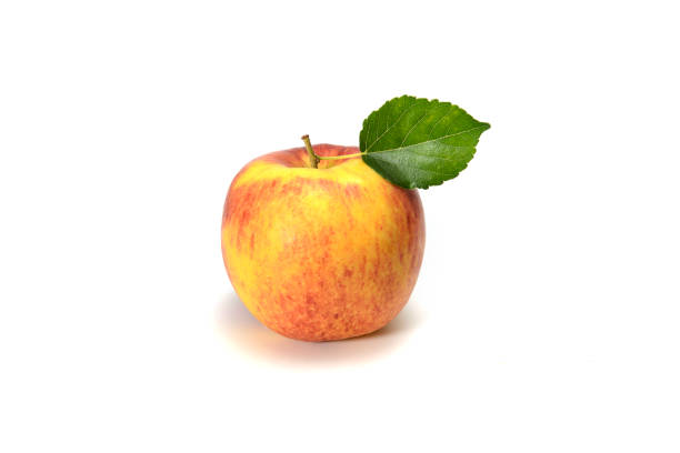 organic red apple isolated on green background with space for text. vegan food concept