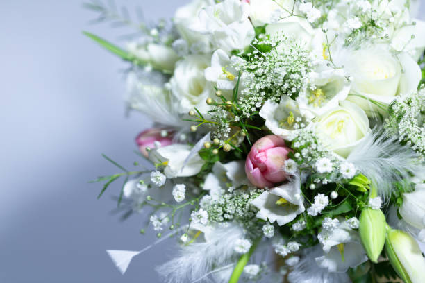 lily with roses wrapped studio shot