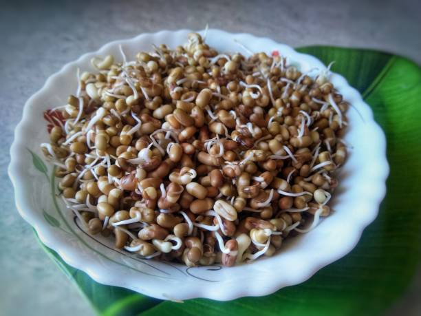 istock Heap of fresh Sprouted moth beans or math beans in white background 1337553975