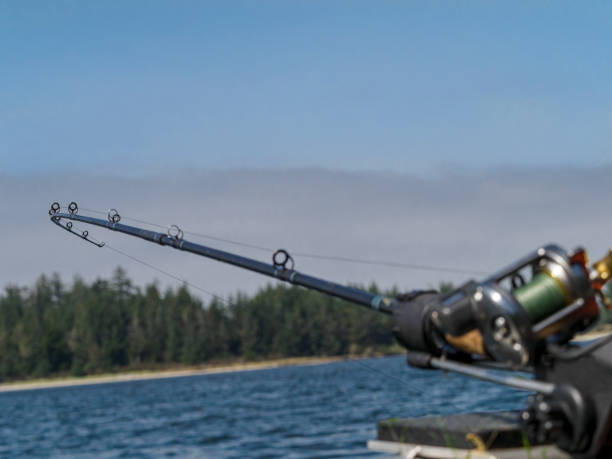 istock Casting Reel Fishing Rod Focus on Rod Tip Background 1337557430