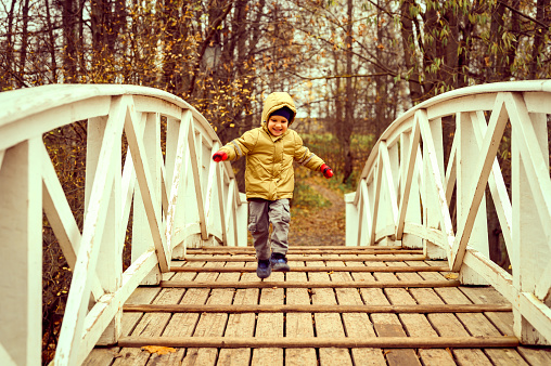 little happy four year old kid boy in autumn clothes runs and jumps on the humpback wooden bridge in the fall park