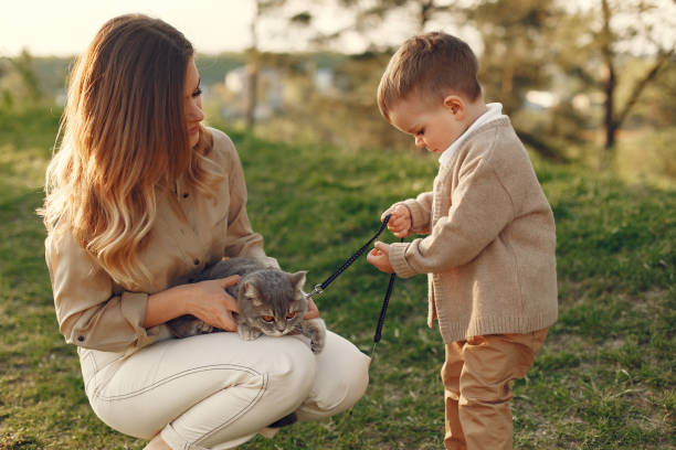 istock Mother with little son playing in a summer field 1337558227