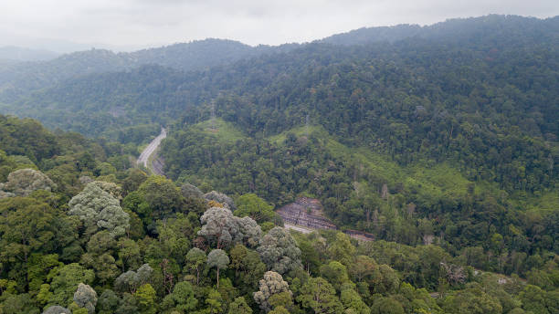 istock Aerial View of Rural Town 1337559106