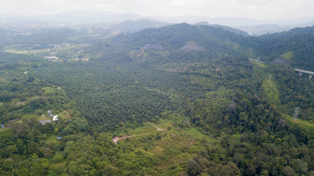 istock Aerial View of Rural Town 1337559121