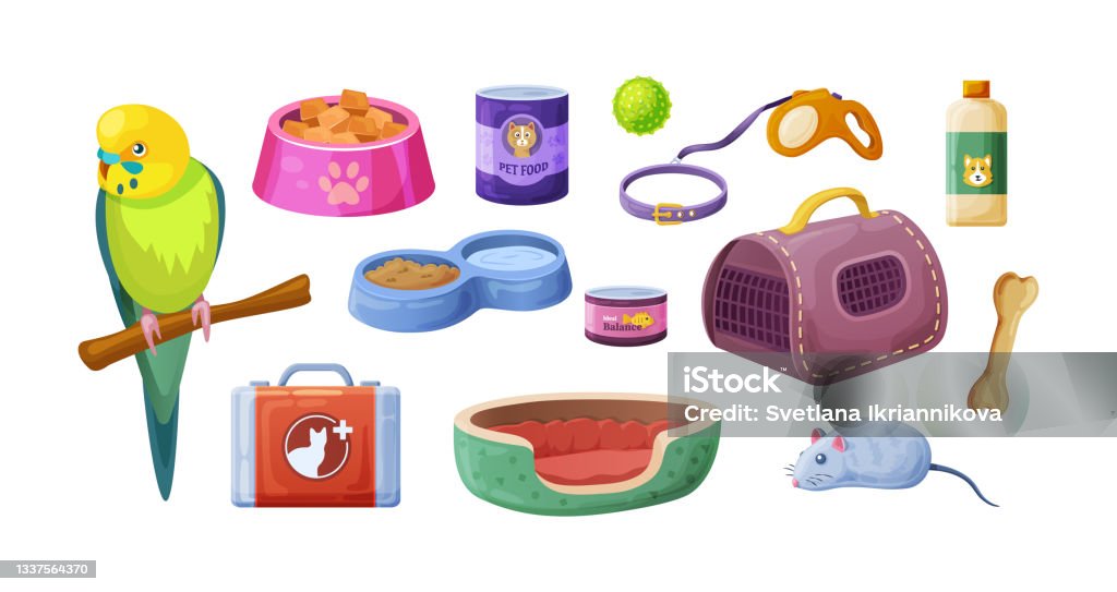 Pet Shop Animal Food Accessories And Toys Domestic Store Pet Shop Supplies  And Accessories Parrot Shampoo Bone Food Firstaid Kit Housescratching Post  Ribbed Ball Leashcollar Stock Illustration - Download Image Now - iStock