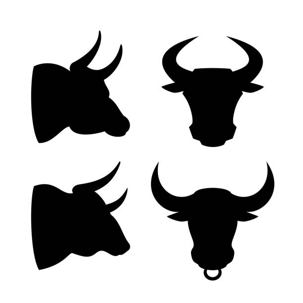 ilustrações, clipart, desenhos animados e ícones de ícone da cabeça de touro - bull texas longhorn cattle horned white