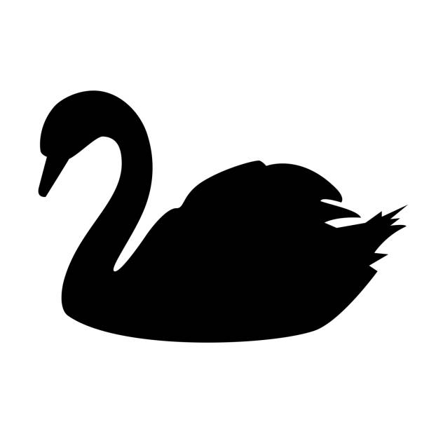schwarzes schwan vektor-silhouettensymbol - swan stock-grafiken, -clipart, -cartoons und -symbole