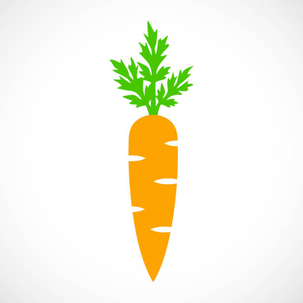 ilustrações de stock, clip art, desenhos animados e ícones de carrot vector cartoon - carrot isolated white carotene