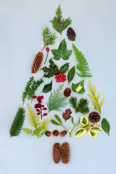 istock Christmas Tree Abstract with Winter Flora 1337567541