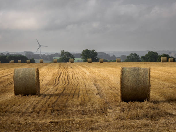 istock Wind turbine and hay bale's 1337570094