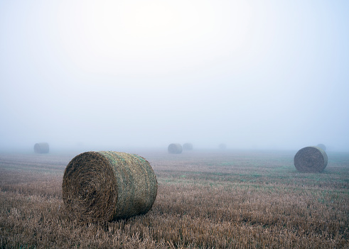 straw bales in misty summer morning field near rouen in french normandy, normandy