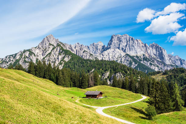 istock View to the mountain pasture Litzlalm in the Alps, Austria 1337573241