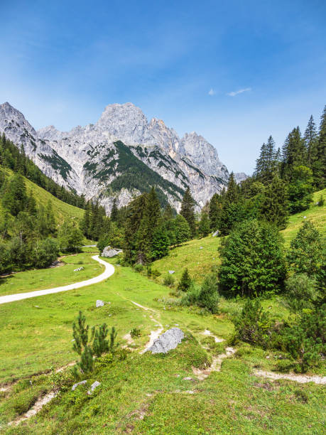 istock View to the mountain pasture Bindalm in the Berchtesgaden Alps, Germany 1337573245