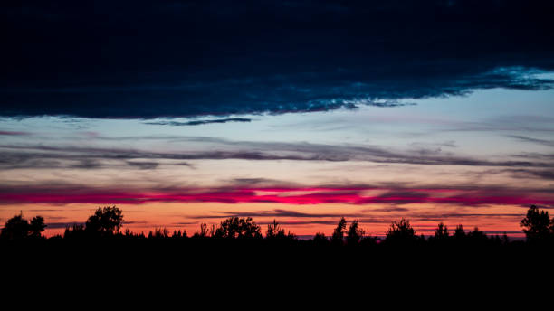 istock Sunset with the silhouette of the forest 1337574100