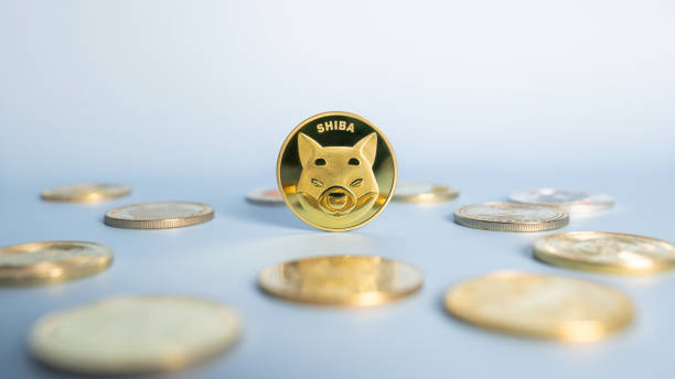 Shiba Inu cryptocurrency coin close-up Shiba Inu or Shib coin standing centrally placed among bunch of crypto coins on blue background. Close-up, soft focus. Banner with golden Shiba token. token photos stock pictures, royalty-free photos & images