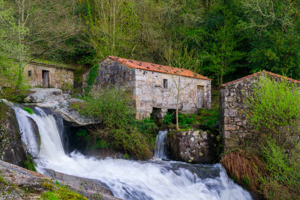 alte wassermühlen im naturpark in barosa - galicien - spanien - naturpark stock-fotos und bilder
