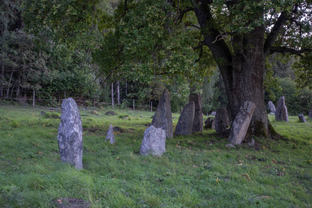 istock Still standing ancient stones in an ancient Iron Age site in Sweden 1337586305