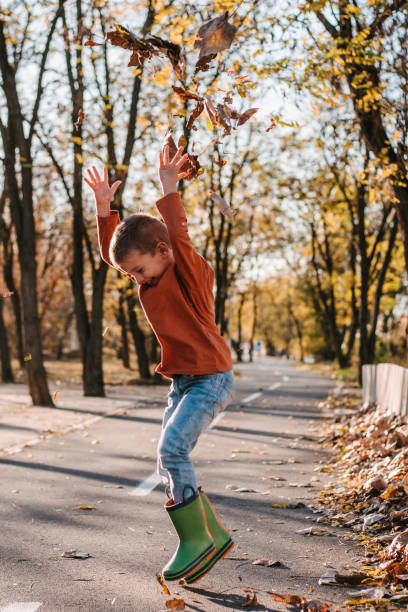 istock The boy playing in autumn leaves 1337588442