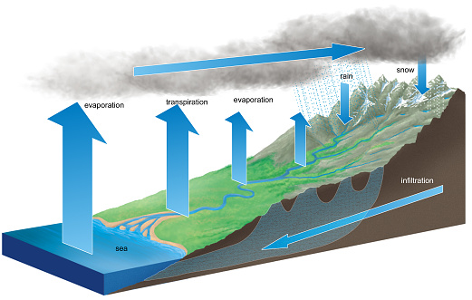 Ecology and fluid dynamics. The water cycle. Evaporation, transport, precipitation and runoff cycle.