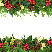 istock Winter Greenery for Christmas and New Year Background 1337589951
