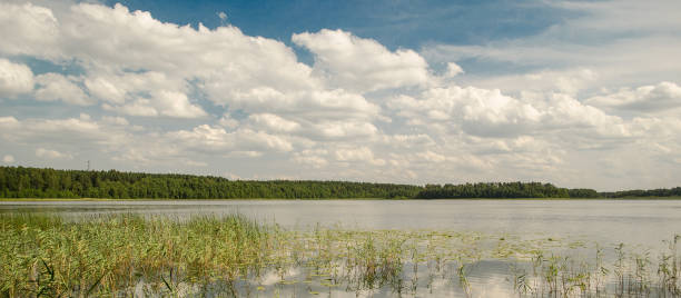 istock Usma lake in sunny summer day, Latvia 1337590473