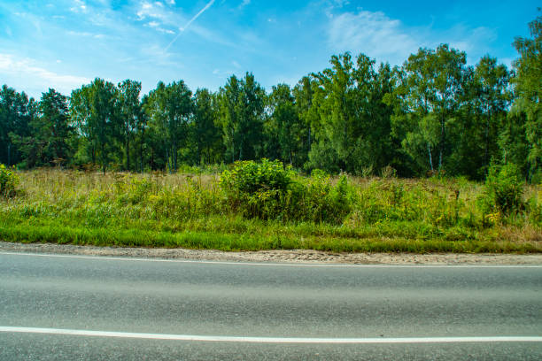 istock Empty asphalt road in the forest. Two-lane freeway in summer between trees. 1337590541