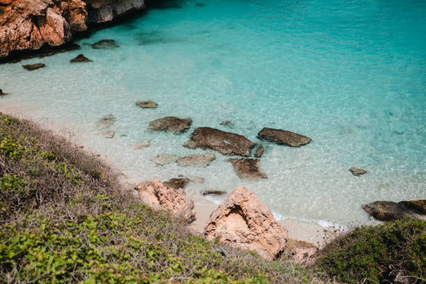 istock Paradise beach with white sand and azure water 1337594554