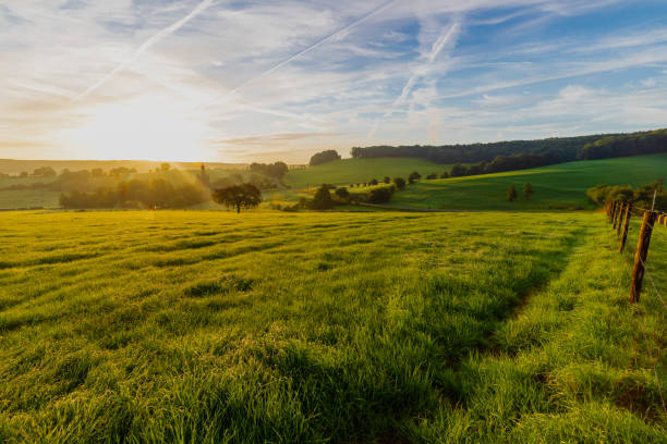 colourful sunrise on a summer morning with a little fog on the ground and spectacular views over the dutch hillside and the picturesque buesdael valley - winding road sunlight field cultivated land imagens e fotografias de stock