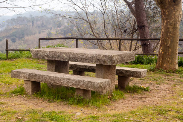 Chairs and tables made of pieces of wood in a garden on a sunny day