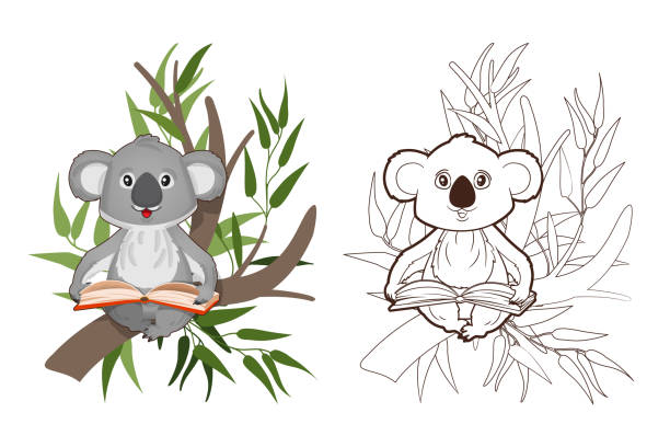 색칠 공부, 유칼립투스 가지에 앉아 책을 읽고 작은 코알라. 만화 스타일의 벡터, 어린이를위한 흑백 라인 아트 - koala australian culture cartoon animal stock illustrations