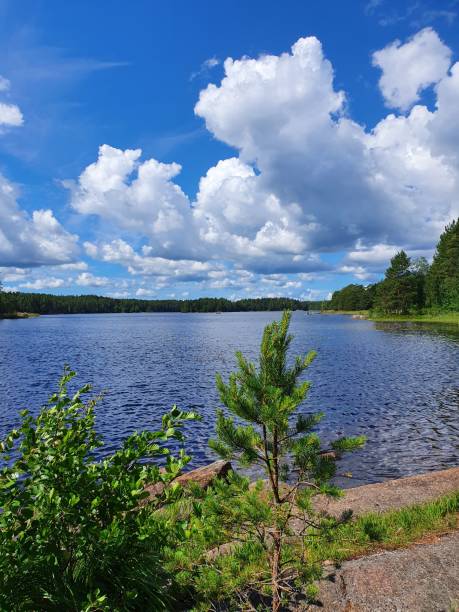 istock Beautiful lake view on a sunny day 1337601198