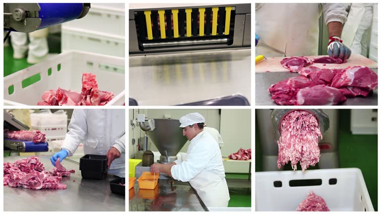 Meat Processing Screen 240+ Meat Processing Plants Stock Videos and Royalty-Free Footage - iStock