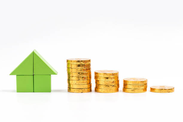 istock House and gold coins 1337606756
