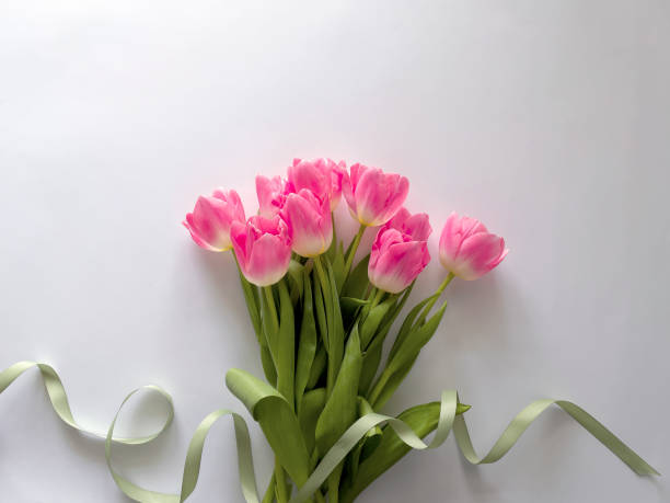 istock beautiful flower on a light background with place for text. 1337606882
