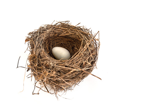 Bird's nest with egg kept in brown on a white background