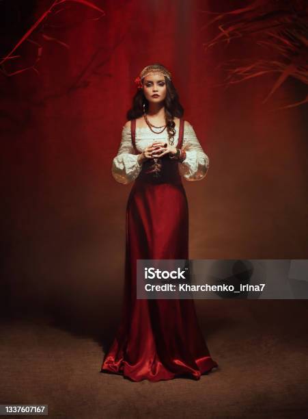 Young Beautiful Gypsy Woman Stands In A Dark Room Long Black Flowing Hair Rose Hairpin Red Ethnic Vintage Dress Fortune Teller Costume Gold Jewelry Mystical Fantasy Girl Pagan Witch Art Photo Stock Photo - Download Image Now