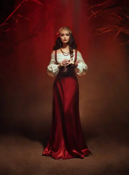 Young beautiful gypsy woman stands in a dark room. Long black flowing hair, rose hairpin. Red ethnic vintage dress, fortune teller costume. Gold jewelry. Mystical fantasy girl, pagan witch. Art photo.