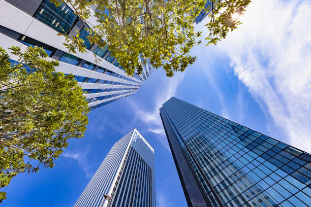 istock Tokyo buildings illuminated by the refreshing morning light 1337607173