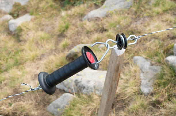 Doot on new electric fence shepherd for animals