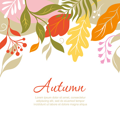 Atumnal leaves, vector illustration. Design with yellow, orange, red autumnal leaves, oak leaves, maple leaves, autumn themes. Place for your text. Botanical illustration