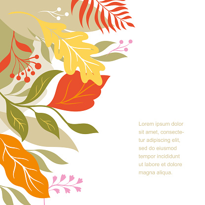 Atumnal leaves, vector illustration. Design with yellow, orange, red autumnal leaves, oak leaves, maple leaves, autumn themes. Place for your text. Botanical illustration