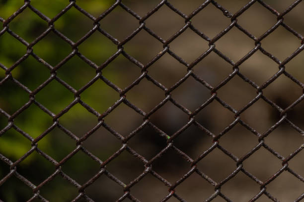 istock Cage with iron net and fence in ZOO garden 1337613599