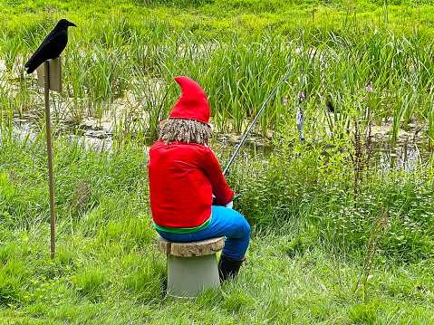 Village scarecrow fishing in an overgrown reeded Village Pond, whilst a stuffed crow overlooks the catch, Tollard Royal, Dorset, England, UK