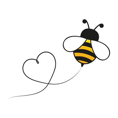 Bee flying on a line route in heart shape. Lovely bee character. Cute vector illustration. Isolated on white background