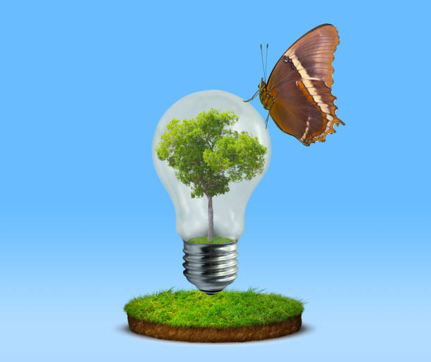 istock Light bulb with plant inside and butterfly on top 1337621099